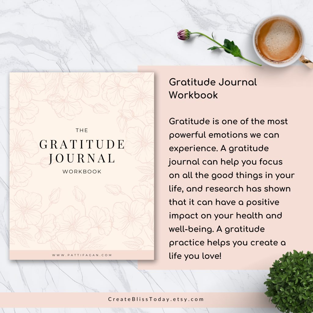 the gratitude journal workbook