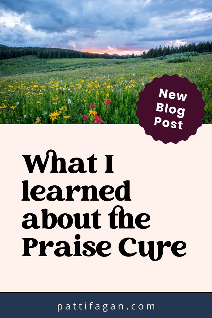 The praise cure pinterst